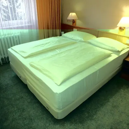 Werrapark Frankenblick Hotel 4*