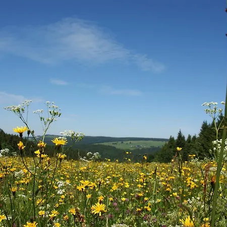 Werrapark Frankenblick