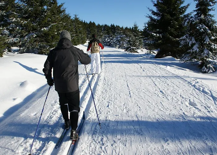 Hotel Werrapark Frankenblick Masserberg