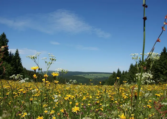 Werrapark Frankenblick